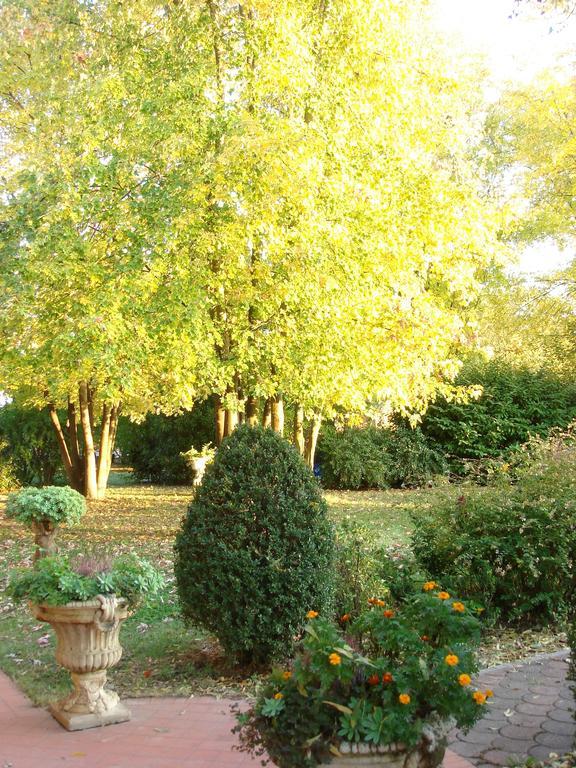 La Corte Del Cavaliere Bed & Breakfast Calderara di Reno Kültér fotó